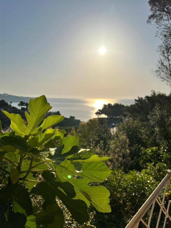 Limonaia In Salento Villa Marittima Luaran gambar