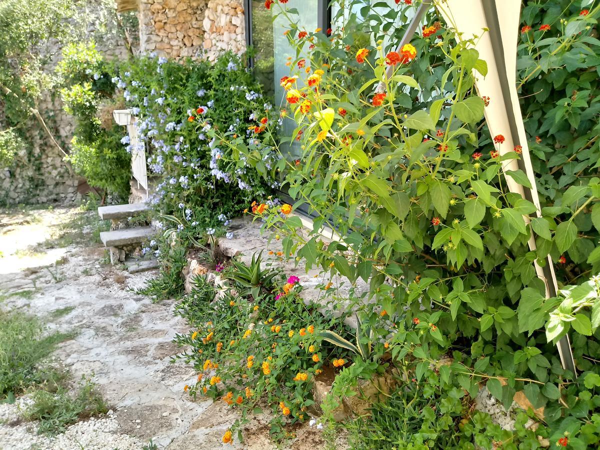 Limonaia In Salento Villa Marittima Luaran gambar