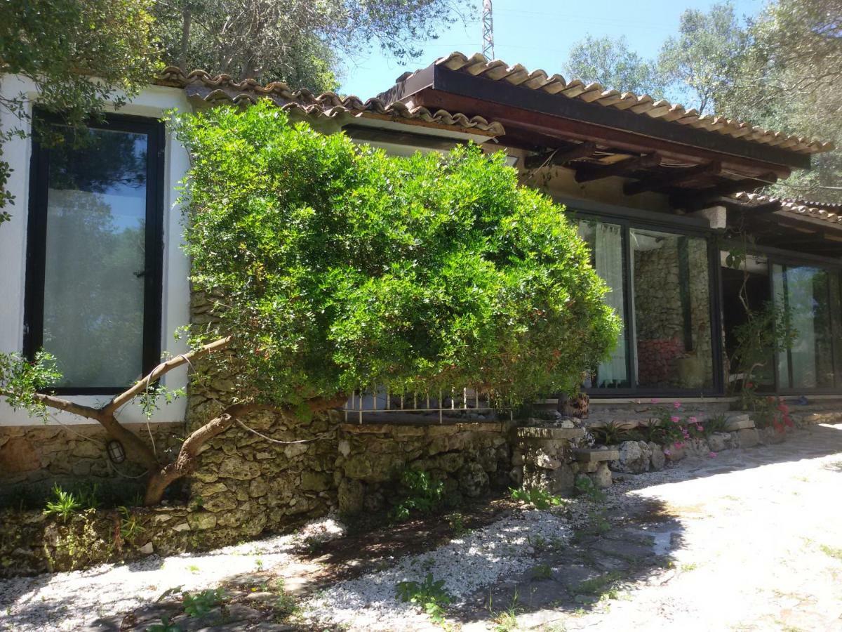 Limonaia In Salento Villa Marittima Luaran gambar